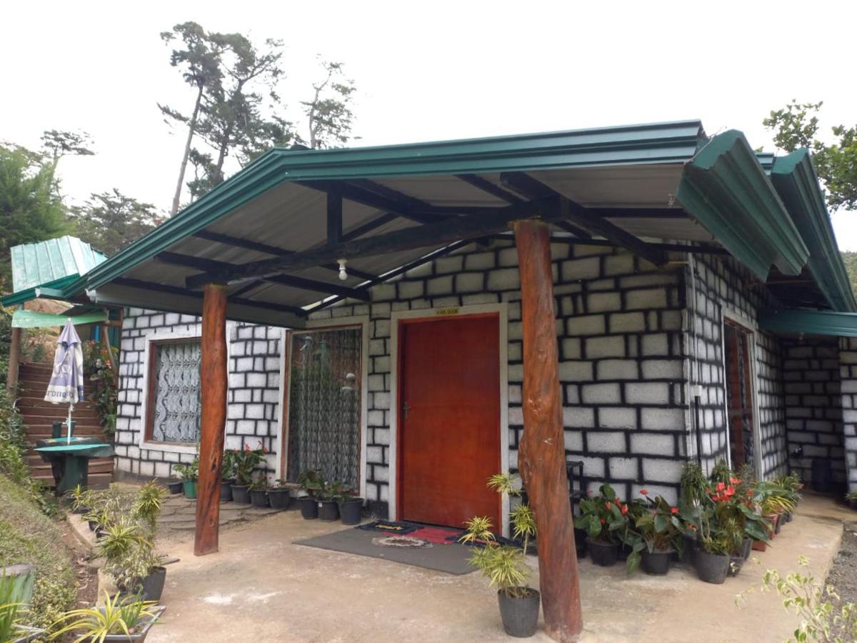 Ohiya Jungle Resort Exterior photo